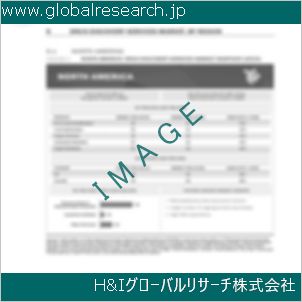グローバルリサーチ調査資料のイメージ
